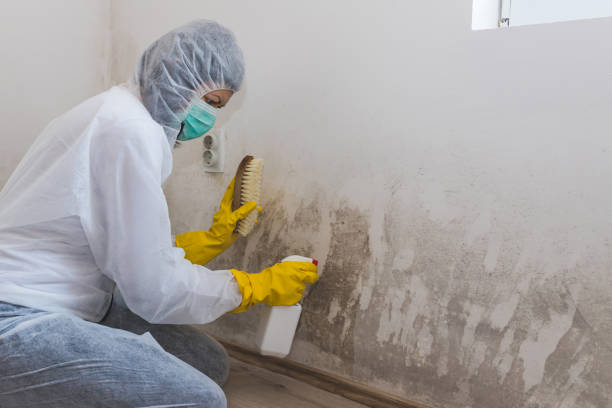 Best Water Damage Restoration  in Lipatria, CA