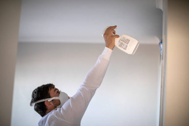 Crawl Space Mold Removal in Calipatria, CA